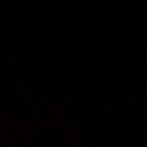 Meet your Posher, Yanet